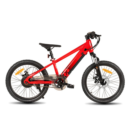 Electric Bike for Kids Teens Ages 7+ with 250W Motor