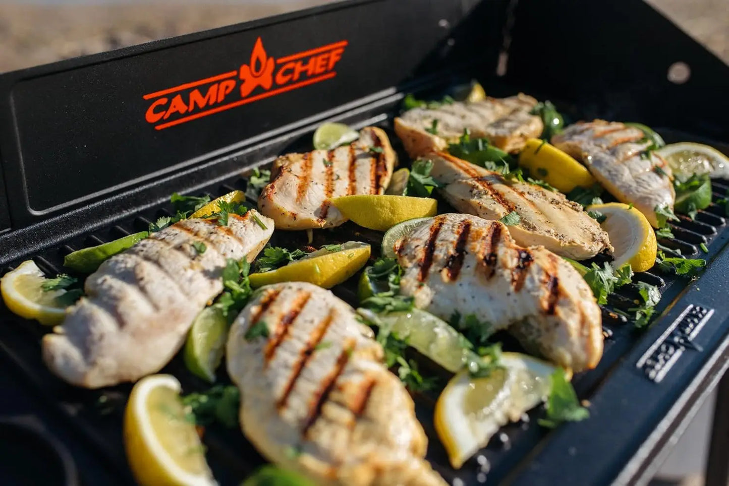Reversible Pre-Seasoned Cast Iron Griddle