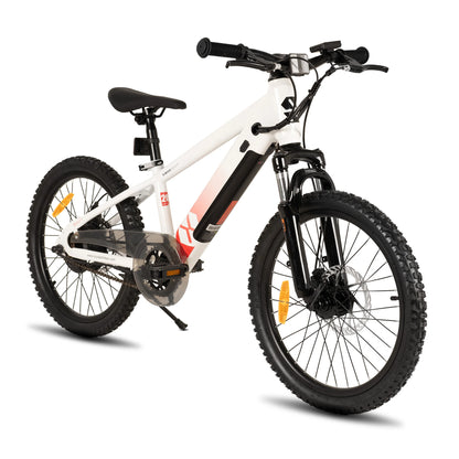 Electric Bike for Kids Teens Ages 7+ with 250W Motor
