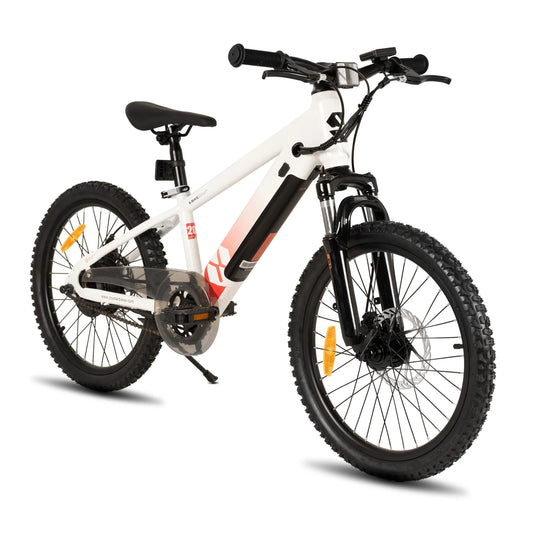 Electric Bike for Kids Teens Ages 7+ with 250W Motor