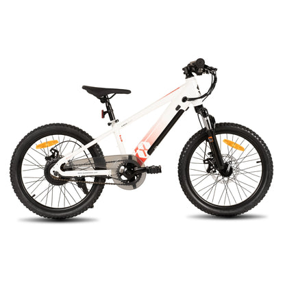 Electric Bike for Kids Teens Ages 7+ with 250W Motor