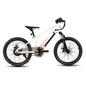 Electric Mountain Bike for Kids Teens Ages 7+