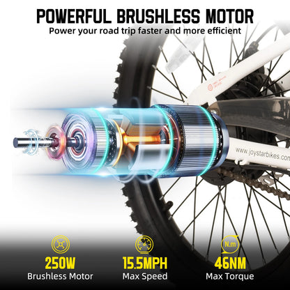 Electric Bike for Kids Teens Ages 7+ with 250W Motor