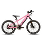 Electric Mountain Bike for Kids Teens Ages 7+