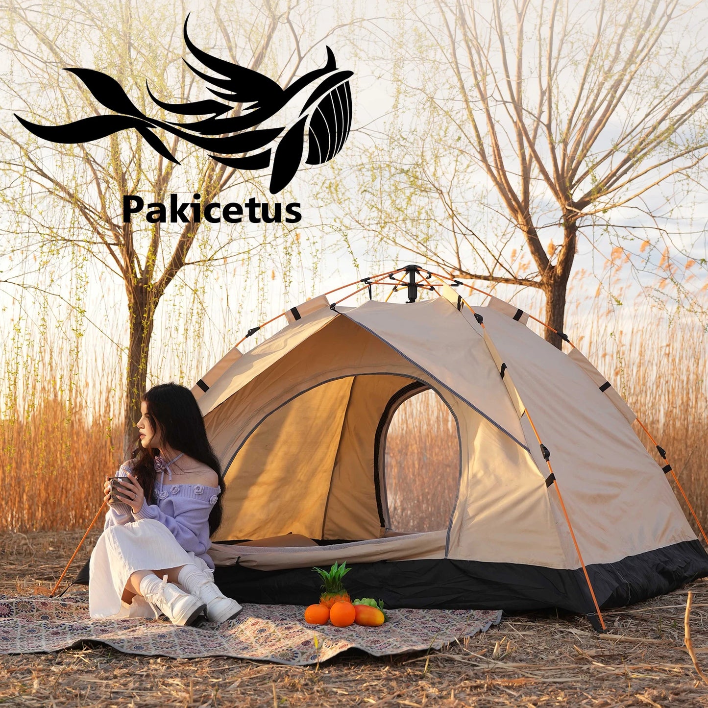 2-4 Person Camping Tents