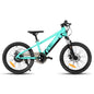 Electric Bike for Kids Teens Ages 7+ with 250W Motor