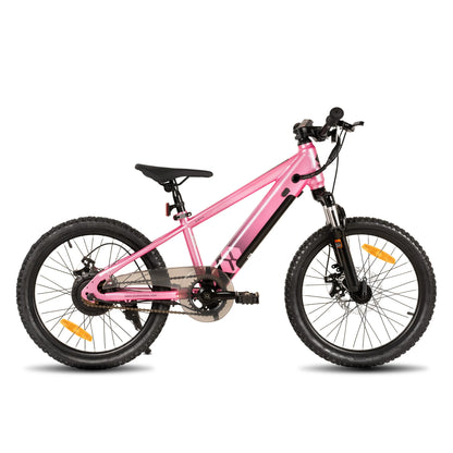 Electric Bike for Kids Teens Ages 7+ with 250W Motor